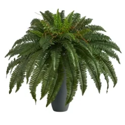 Arrangements & Greenery-Kirkland's Home Boston Fern In Oblong Gray Planter Green/Gray