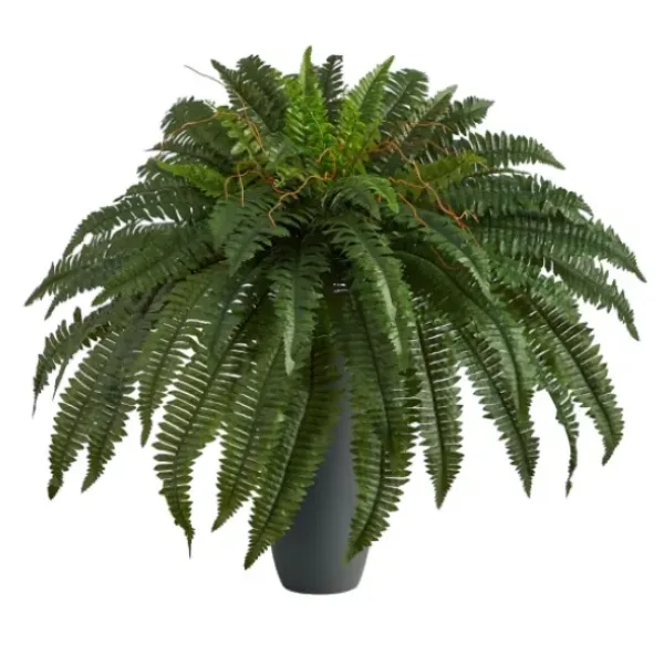 Arrangements & Greenery-Kirkland's Home Boston Fern In Oblong Gray Planter Green/Gray