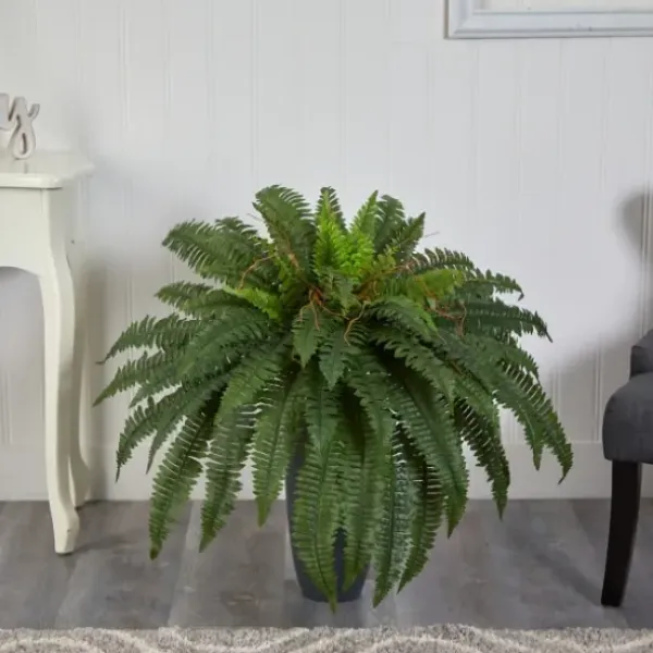 Arrangements & Greenery-Kirkland's Home Boston Fern In Oblong Gray Planter Green/Gray