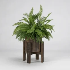 Arrangements & Greenery-Kirkland's Home Boston Fern In Round Wooden Planter With Stand Green