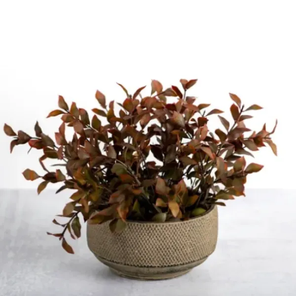 Arrangements & Greenery-Kirkland's Home Boxwood Arrangement In Ceramic Pot Brown