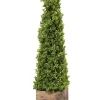 Trees & Topiaries-Kirkland's Home Boxwood Obelisk In Wood Planter, 36 In.