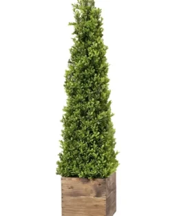 Trees & Topiaries-Kirkland's Home Boxwood Obelisk In Wood Planter, 36 In.