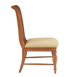 Dining Chairs-Kirkland's Home Brown Hollywood Regency Dining Chairs, Set Of 2 Tan