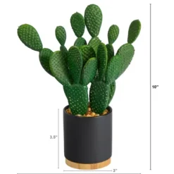 Arrangements & Greenery-Kirkland's Home Bunny Ear Cactus In Black Mod Planter Green/Black