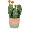 Arrangements & Greenery-Kirkland's Home Cactus In Clay Pot, 14 In. Green