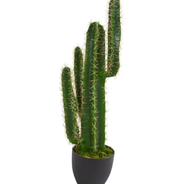 Trees & Topiaries-Kirkland's Home Cactus Plant, 3 Ft.