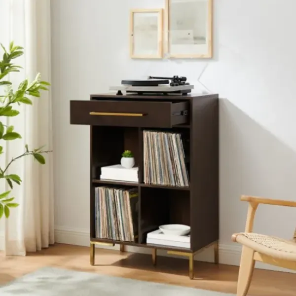 Bookshelves-Kirkland's Home Cadence Gold Record Storage Bookcase