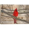 Wall Plaques-Kirkland's Home Cardinal Branch Wood Art Print Red/Brown