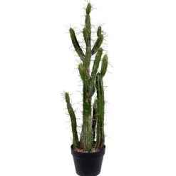Trees & Topiaries-Kirkland's Home Cereus Cactus In Black Pot, 34 In.