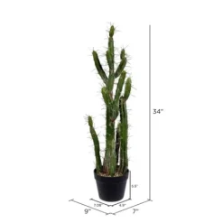 Trees & Topiaries-Kirkland's Home Cereus Cactus In Black Pot, 34 In.