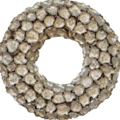 Wreaths-Kirkland's Home Champagne Dried Coco Flower Wreath, 20 In. Silver