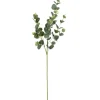 Stems & Bouquets-Kirkland's Home Cinerea Eucalyptus Leaf Stems, Set Of 4 Green