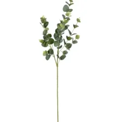 Stems & Bouquets-Kirkland's Home Cinerea Eucalyptus Leaf Stems, Set Of 4 Green