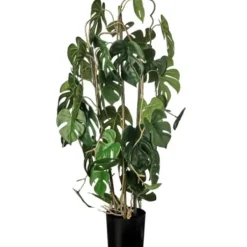 Trees & Topiaries-Kirkland's Home Climbing Split Leaf Philodendron Plant