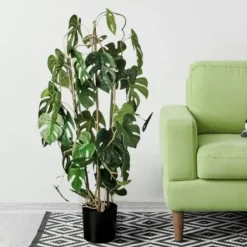 Trees & Topiaries-Kirkland's Home Climbing Split Leaf Philodendron Plant