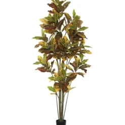 Trees & Topiaries-Kirkland's Home Colorful Croton Tree In Black Planter, 7 Ft.