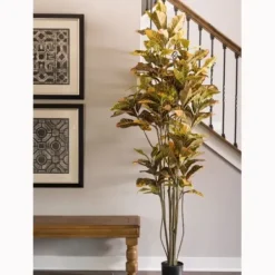 Trees & Topiaries-Kirkland's Home Colorful Croton Tree In Black Planter, 7 Ft.