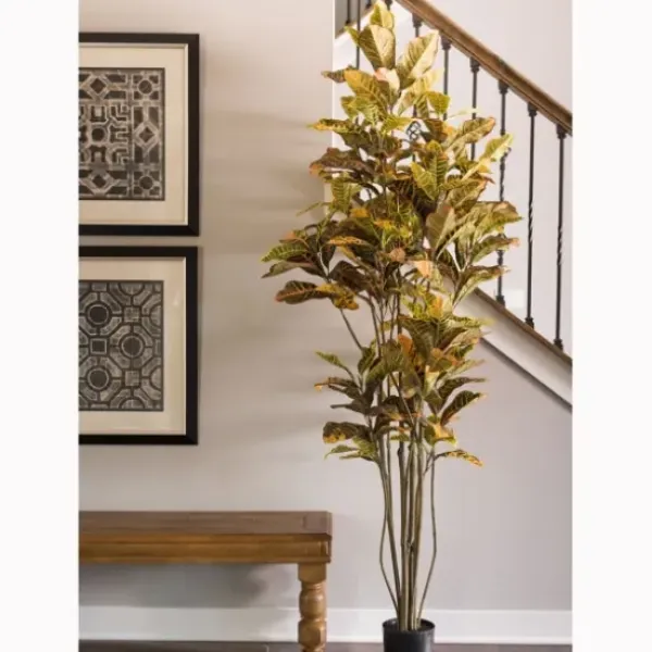Trees & Topiaries-Kirkland's Home Colorful Croton Tree In Black Planter, 7 Ft.