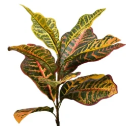 Trees & Topiaries-Kirkland's Home Colorful Croton Tree In Black Planter, 7 Ft.