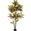 Trees & Topiaries-Kirkland's Home Colorful Croton Tree In Black Planter, 5 Ft.