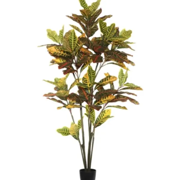Trees & Topiaries-Kirkland's Home Colorful Croton Tree In Black Planter, 5 Ft.