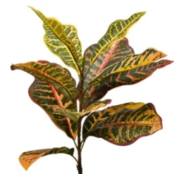 Trees & Topiaries-Kirkland's Home Colorful Croton Tree In Black Planter, 5 Ft.
