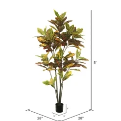 Trees & Topiaries-Kirkland's Home Colorful Croton Tree In Black Planter, 5 Ft.