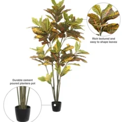 Trees & Topiaries-Kirkland's Home Colorful Croton Tree In Black Planter, 5 Ft.