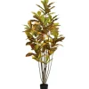 Trees & Topiaries-Kirkland's Home Colorful Croton Tree In Black Planter, 6 Ft.