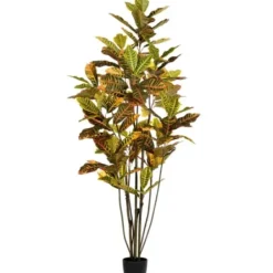 Trees & Topiaries-Kirkland's Home Colorful Croton Tree In Black Planter, 6 Ft.