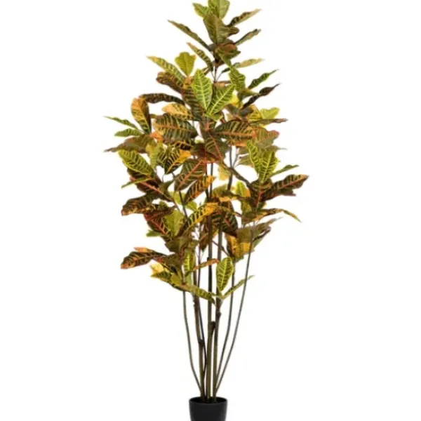 Trees & Topiaries-Kirkland's Home Colorful Croton Tree In Black Planter, 6 Ft.