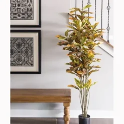 Trees & Topiaries-Kirkland's Home Colorful Croton Tree In Black Planter, 6 Ft.