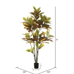 Trees & Topiaries-Kirkland's Home Colorful Croton Tree In Black Planter, 6 Ft.
