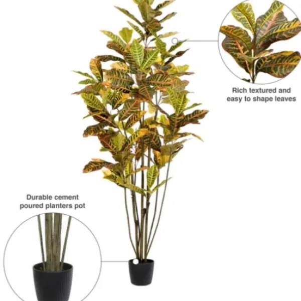 Trees & Topiaries-Kirkland's Home Colorful Croton Tree In Black Planter, 6 Ft.