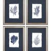 Framed Art-Kirkland's Home Coral 4-Pc. Silver Framed Art Print Set Blue