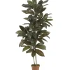 Trees & Topiaries-Kirkland's Home Cordyline Plant In Terracotta Planter Green