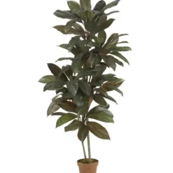 Trees & Topiaries-Kirkland's Home Cordyline Plant In Terracotta Planter Green
