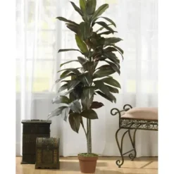 Trees & Topiaries-Kirkland's Home Cordyline Plant In Terracotta Planter Green