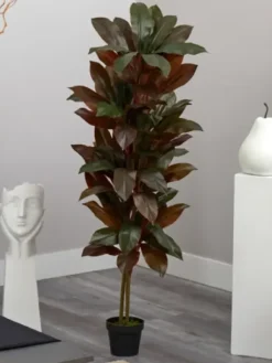 Trees & Topiaries-Kirkland's Home Cordyline Plant In Terracotta Planter Green