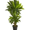 Trees & Topiaries-Kirkland's Home Corn Stalk Dracaena Plant In Black Planter