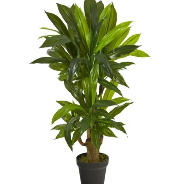 Trees & Topiaries-Kirkland's Home Corn Stalk Dracaena Plant In Black Planter