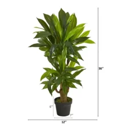 Trees & Topiaries-Kirkland's Home Corn Stalk Dracaena Plant In Black Planter
