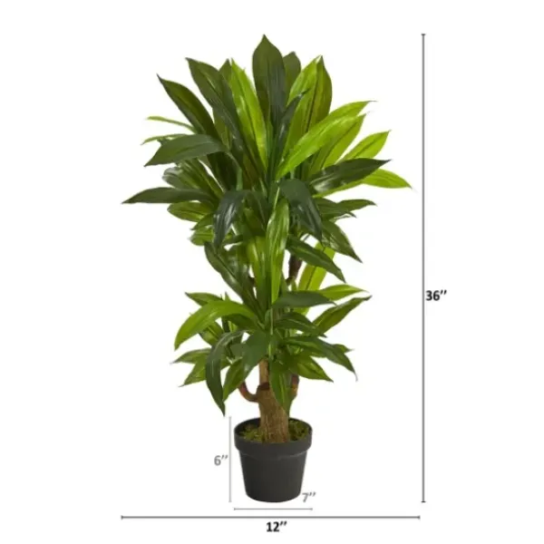 Trees & Topiaries-Kirkland's Home Corn Stalk Dracaena Plant In Black Planter