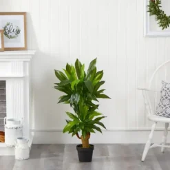 Trees & Topiaries-Kirkland's Home Corn Stalk Dracaena Plant In Black Planter