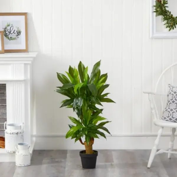 Trees & Topiaries-Kirkland's Home Corn Stalk Dracaena Plant In Black Planter