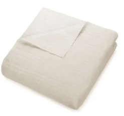 Quilts-Kirkland's Home Cream Atmosphere Queen Quilt Ivory