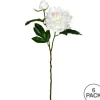 Stems & Bouquets-Kirkland's Home Cream Blooming Peony Stems, Set Of 6 Ivory