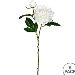 Stems & Bouquets-Kirkland's Home Cream Blooming Peony Stems, Set Of 6 Ivory