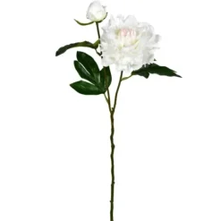 Stems & Bouquets-Kirkland's Home Cream Blooming Peony Stems, Set Of 6 Ivory